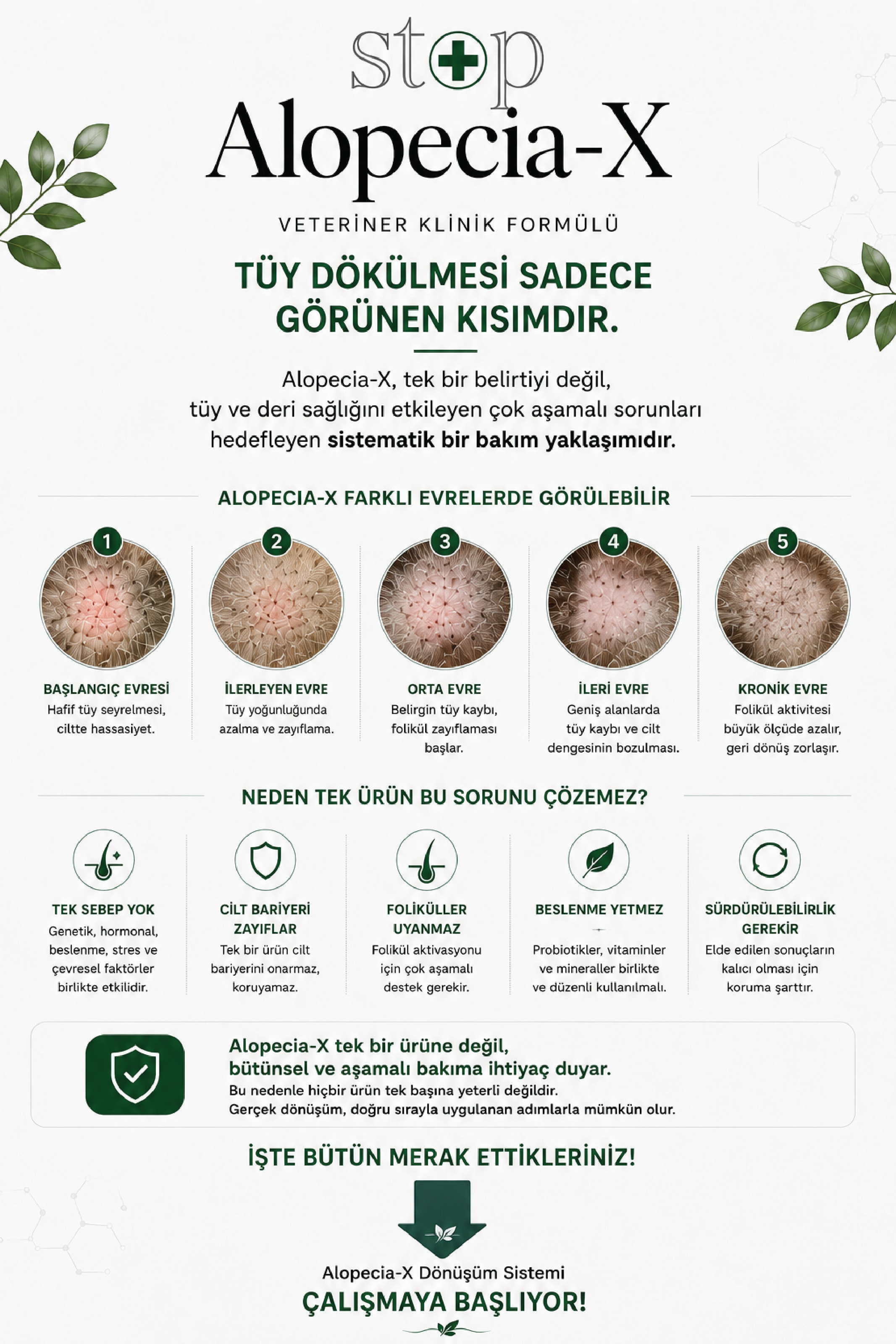 STOP ALOPECIA-X Komple Set